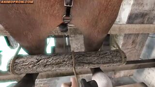 Приключения в мультирленде с огромным дилдо лошадки !!!!